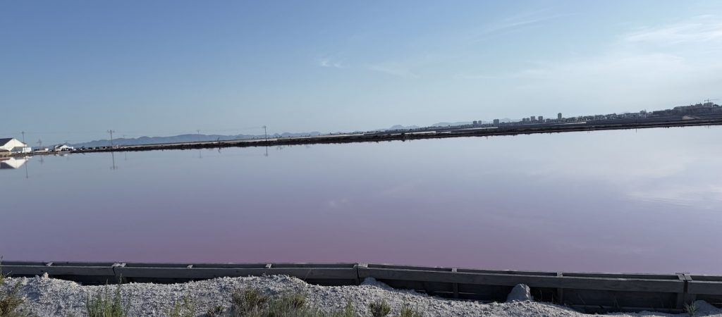 Rosafarbenes Salzbecken im Naturpark Salinas y Arenales